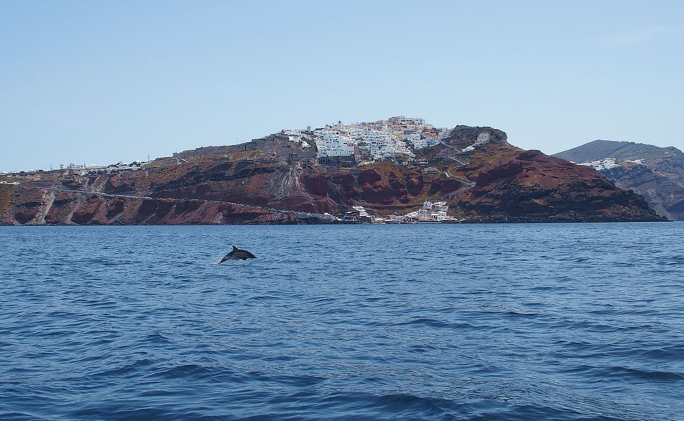 delfin Santorini